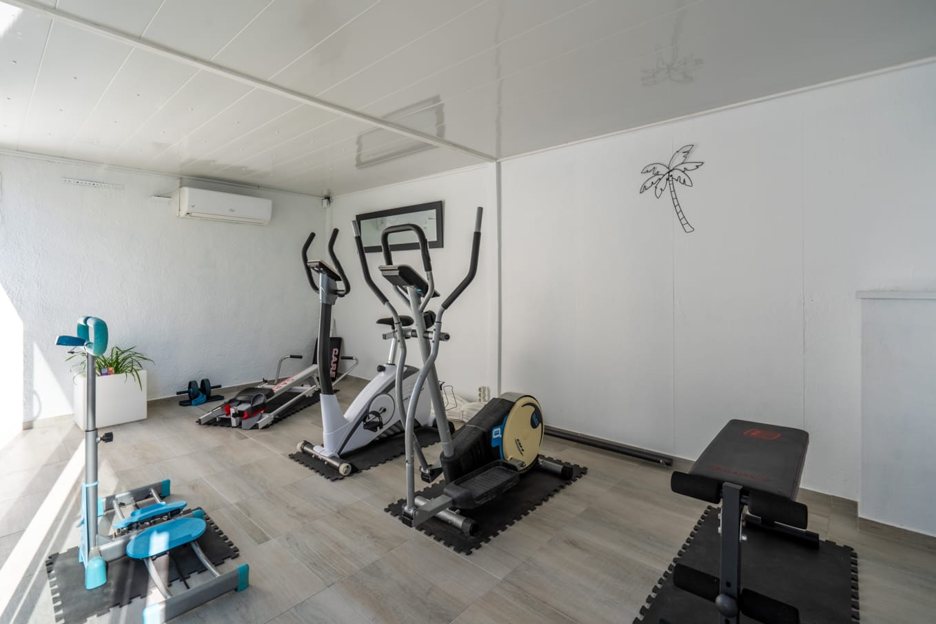 4. Gimnasio